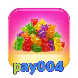 pay004